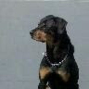 Meet your Posher, Kinard